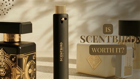 Is scentbird worth it. Things To Know About Is scentbird worth it. 